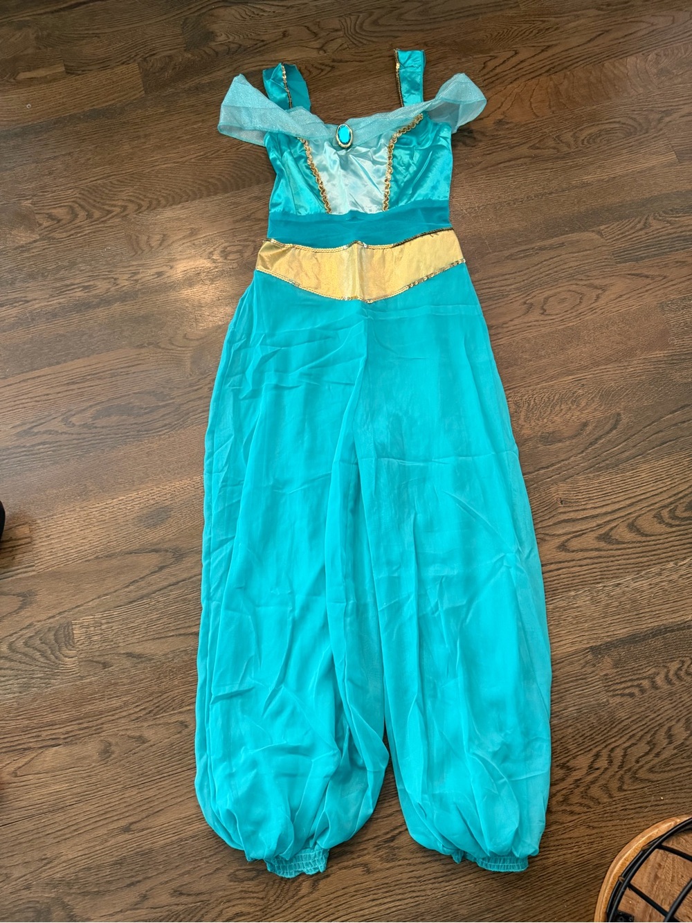 Disney Adult Princess Jasmine Costume Size Small